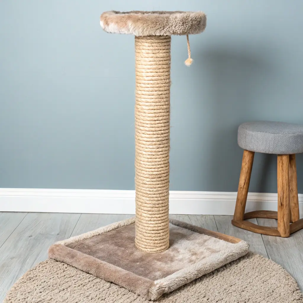 Cat Scratching Post